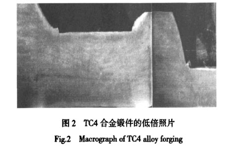 1647729784368296.jpg t2.jpg