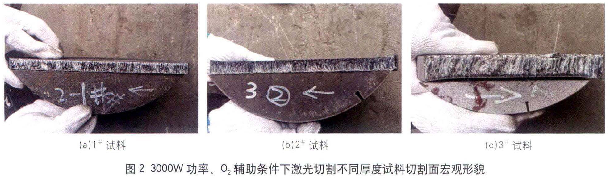 1681455840590053.jpg t2.jpg