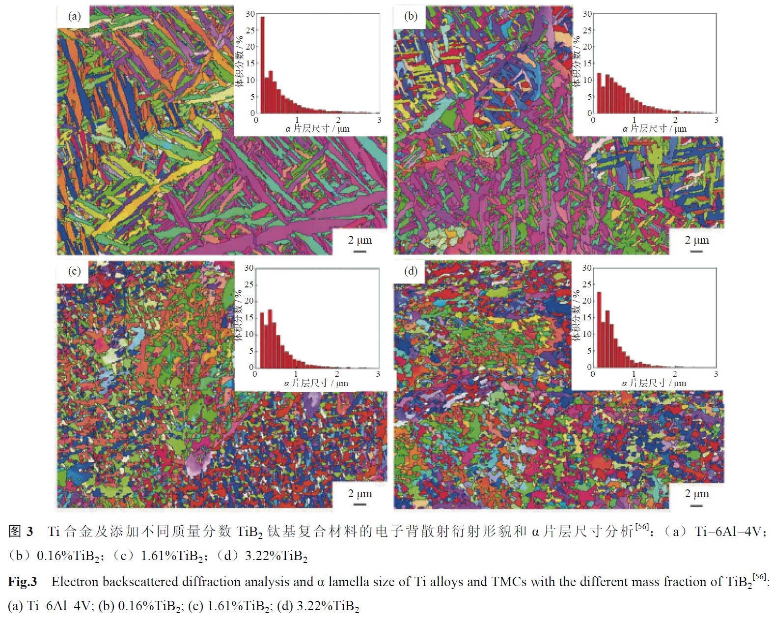 1681537010416309.jpg t3.jpg