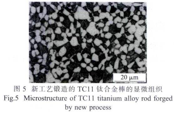 1687085770754898.jpg t5.jpg