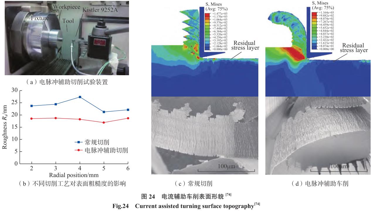 1692266148772658.jpg t24.jpg